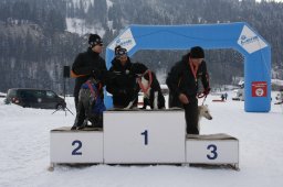 Lenk 2012 SM